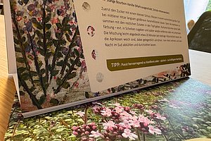 Aufgeschlagenes Buch mit Text und Abbildungen von Pflanzen und Blüten auf einem Holztisch