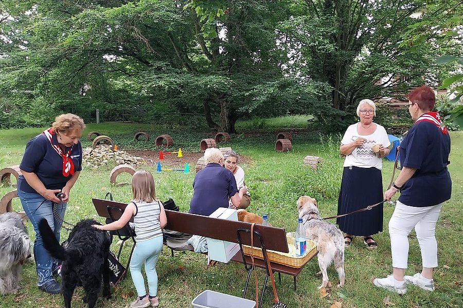 Mehrere Personen mit Hunden stehen und sitzen auf einer Wiese mit Bänken und Hundespielzeug, umgeben von Bäumen.