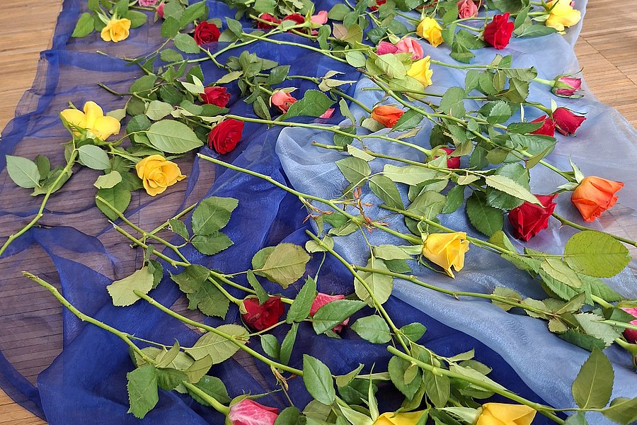 Mehrere langstielige Rosen in verschiedenen Farben liegen auf einem blauen Stoff ausgebreitet auf einem Holzboden
