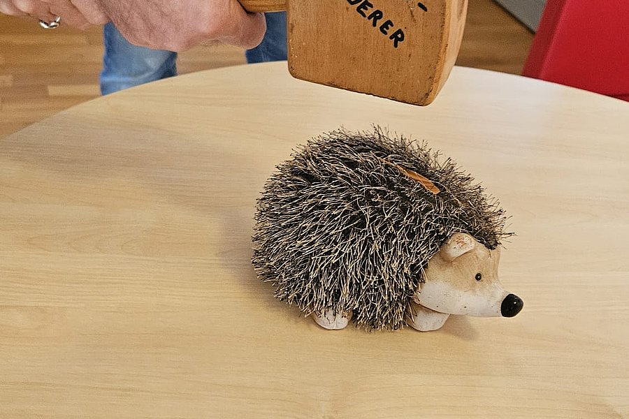 Niedlicher Igel und Holzhammer mit der Aufschrift 'Meinungsänderer' auf einem Tisch.