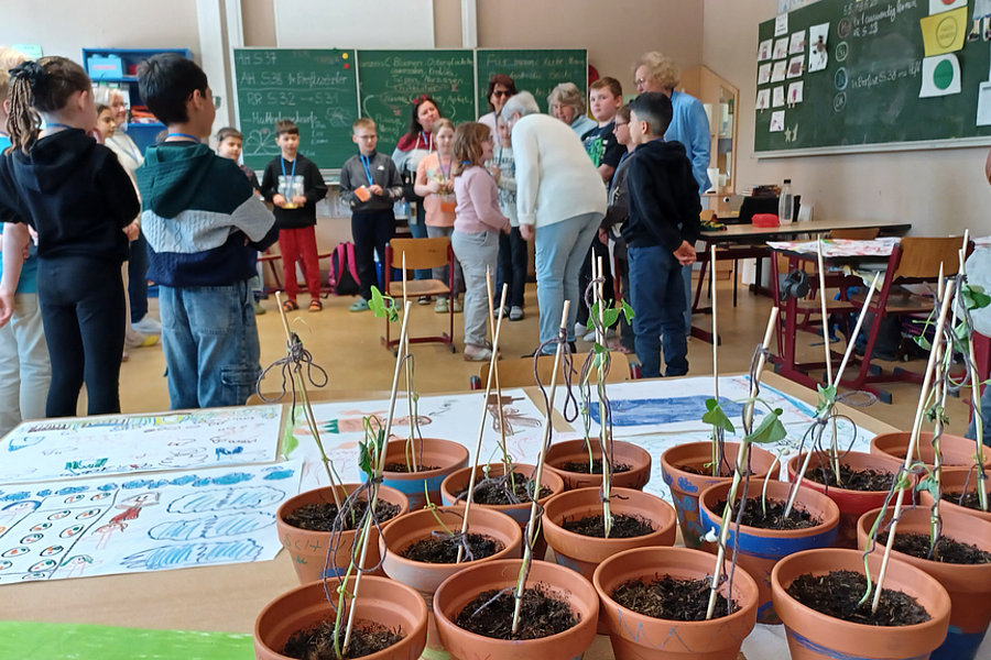 Mehrere Tontöpfe mit kleinen Pflanzen stehen auf einem Tisch, im Hintergrund stehen Kinder und Erwachsene in einem Klassenraum mit Tafel und Schultischen.
