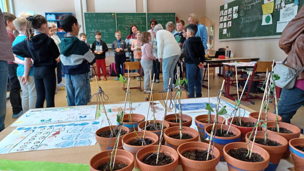 Mehrere Tontöpfe mit kleinen Pflanzen stehen auf einem Tisch, im Hintergrund stehen Kinder und Erwachsene in einem Klassenraum mit Tafel und Schultischen.